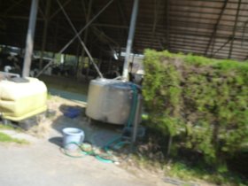 下り途中に牛舎が